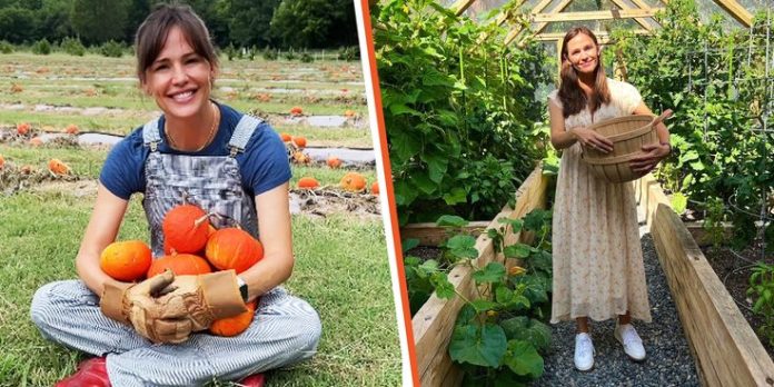 Jennifer Garner shares 'nerdy farm facts' about growing pumpkins